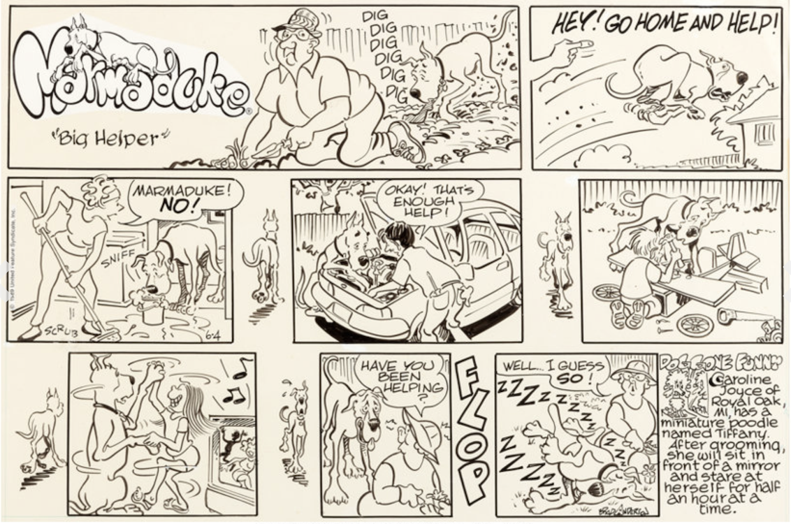 Marmaduke Sunday Comic Strip 6-4-89 by Brad Anderson sold for $190. Click here to get your original art appraised.